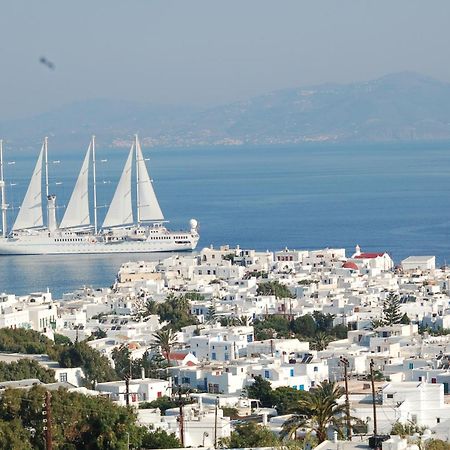 فندق كونستانتينا زورز زيداكيس Mykonos Town المظهر الخارجي الصورة